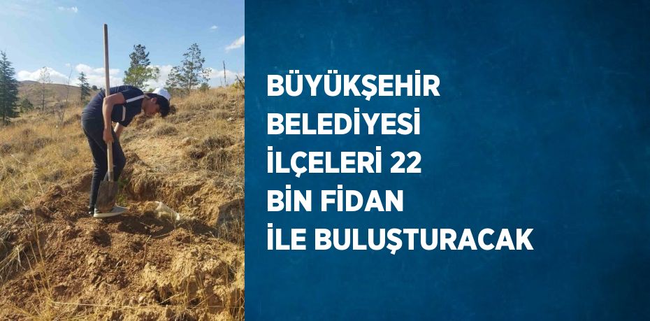 BÜYÜKŞEHİR BELEDİYESİ İLÇELERİ 22 BİN FİDAN İLE BULUŞTURACAK