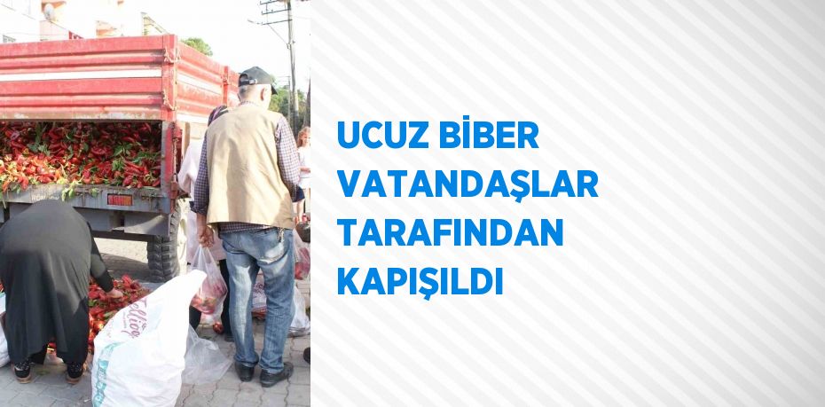 UCUZ BİBER VATANDAŞLAR TARAFINDAN KAPIŞILDI