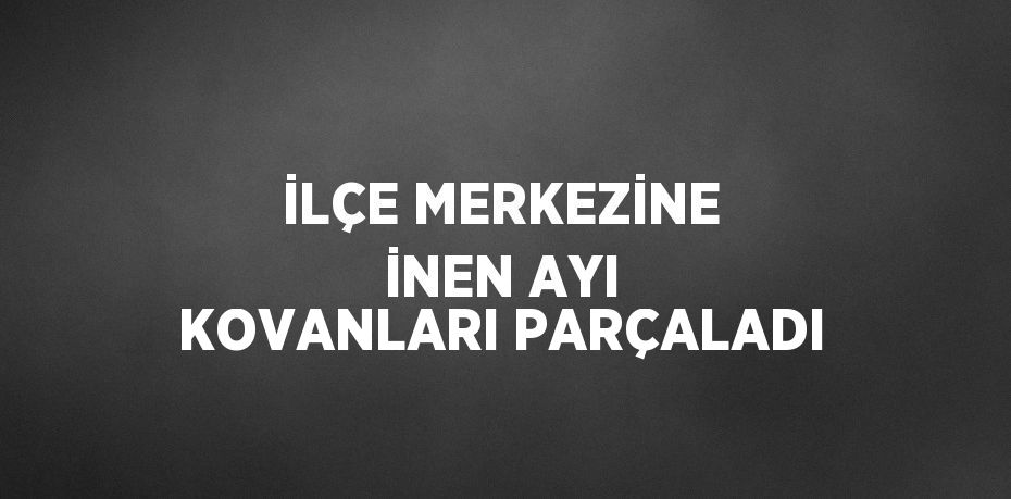 İLÇE MERKEZİNE İNEN AYI KOVANLARI PARÇALADI