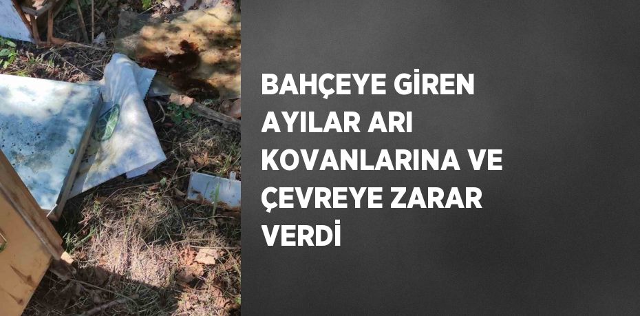 BAHÇEYE GİREN AYILAR ARI KOVANLARINA VE ÇEVREYE ZARAR VERDİ