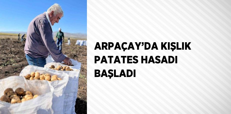 ARPAÇAY’DA KIŞLIK PATATES HASADI BAŞLADI