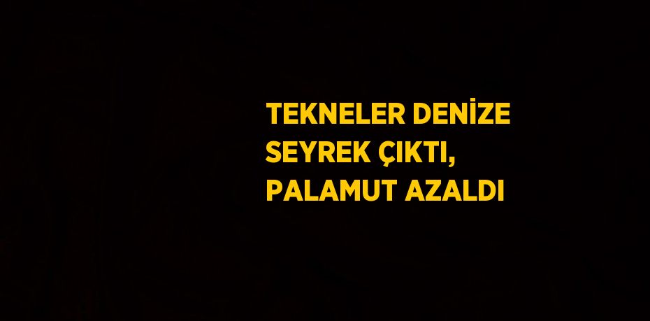 TEKNELER DENİZE SEYREK ÇIKTI, PALAMUT AZALDI