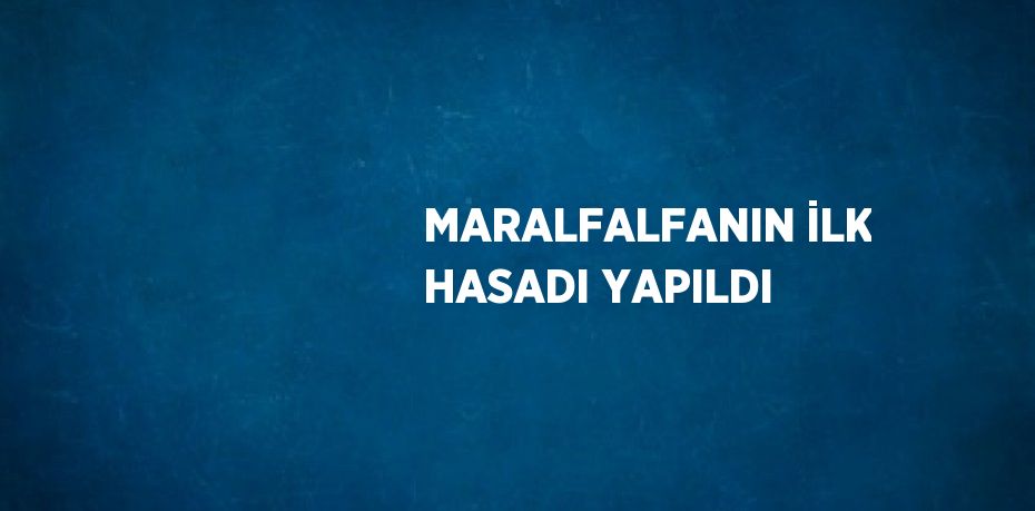 MARALFALFANIN İLK HASADI YAPILDI