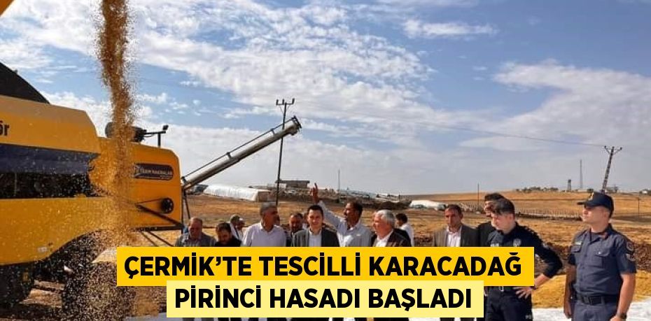 ÇERMİK’TE TESCİLLİ KARACADAĞ PİRİNCİ HASADI BAŞLADI