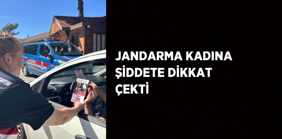 JANDARMA KADINA ŞİDDETE DİKKAT ÇEKTİ