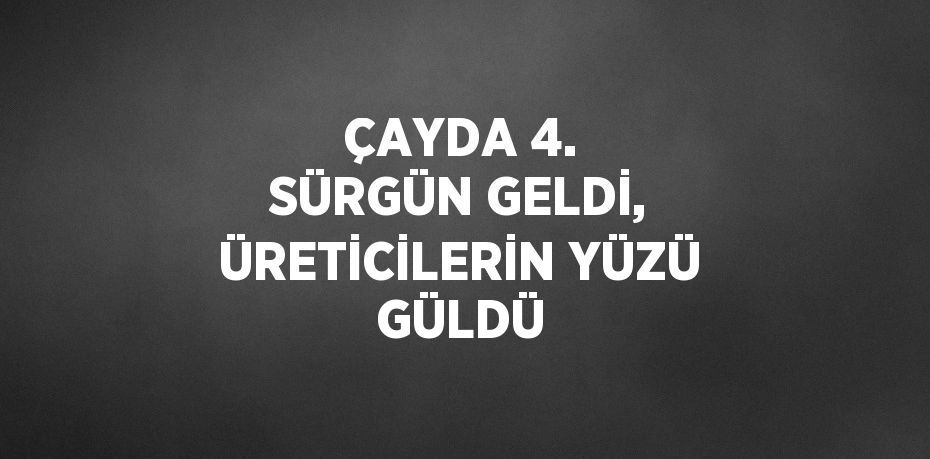 ÇAYDA 4. SÜRGÜN GELDİ, ÜRETİCİLERİN YÜZÜ GÜLDÜ