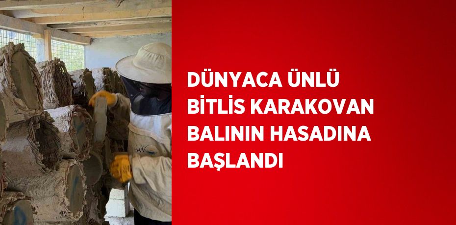 DÜNYACA ÜNLÜ BİTLİS KARAKOVAN BALININ HASADINA BAŞLANDI