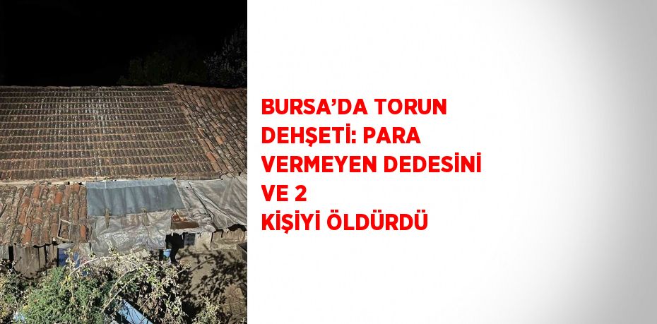 BURSA’DA TORUN DEHŞETİ: PARA VERMEYEN DEDESİNİ VE 2 KİŞİYİ ÖLDÜRDÜ