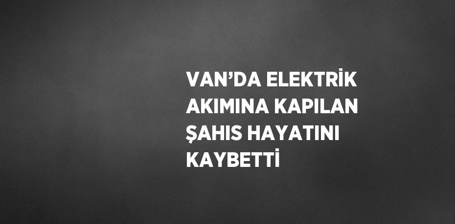 VAN’DA ELEKTRİK AKIMINA KAPILAN ŞAHIS HAYATINI KAYBETTİ