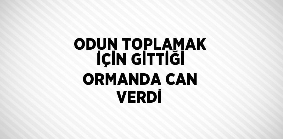 ODUN TOPLAMAK İÇİN GİTTİĞİ ORMANDA CAN VERDİ