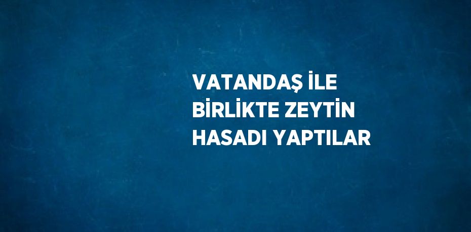 VATANDAŞ İLE BİRLİKTE ZEYTİN HASADI YAPTILAR