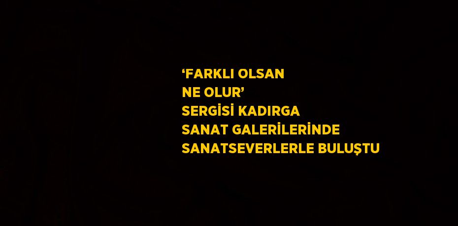 ‘FARKLI OLSAN NE OLUR’ SERGİSİ KADIRGA SANAT GALERİLERİNDE SANATSEVERLERLE BULUŞTU