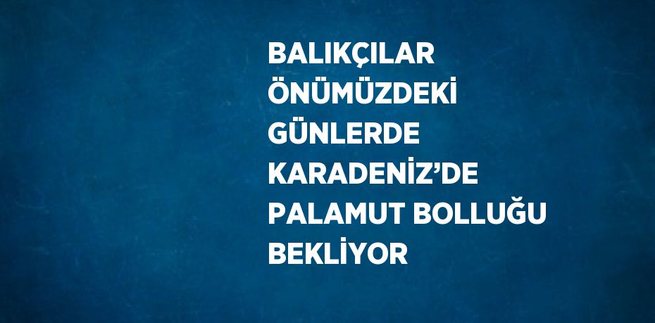 BALIKÇILAR ÖNÜMÜZDEKİ GÜNLERDE KARADENİZ’DE PALAMUT BOLLUĞU BEKLİYOR