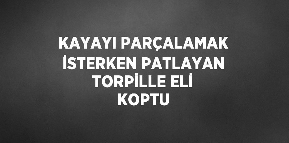 KAYAYI PARÇALAMAK İSTERKEN PATLAYAN TORPİLLE ELİ KOPTU