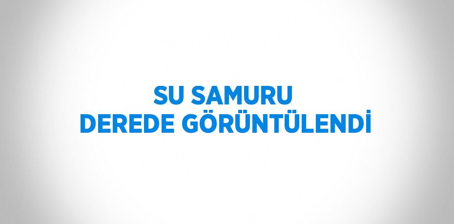 SU SAMURU DEREDE GÖRÜNTÜLENDİ