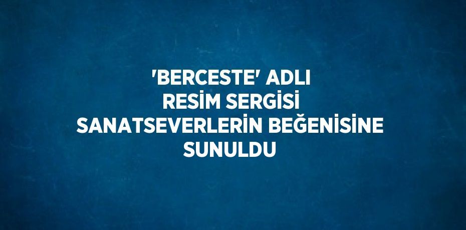 'BERCESTE' ADLI RESİM SERGİSİ SANATSEVERLERİN BEĞENİSİNE SUNULDU