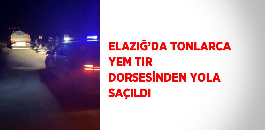 ELAZIĞ’DA TONLARCA YEM TIR DORSESİNDEN YOLA SAÇILDI