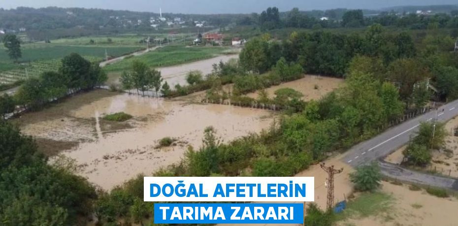 DOĞAL AFETLERİN TARIMA ZARARI