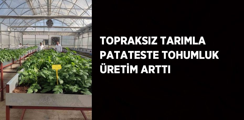 TOPRAKSIZ TARIMLA PATATESTE TOHUMLUK ÜRETİM ARTTI