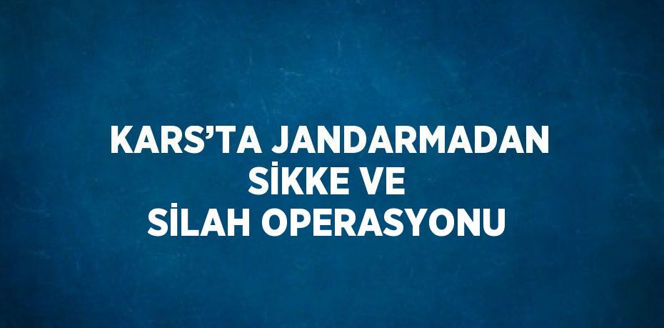 KARS’TA JANDARMADAN SİKKE VE SİLAH OPERASYONU