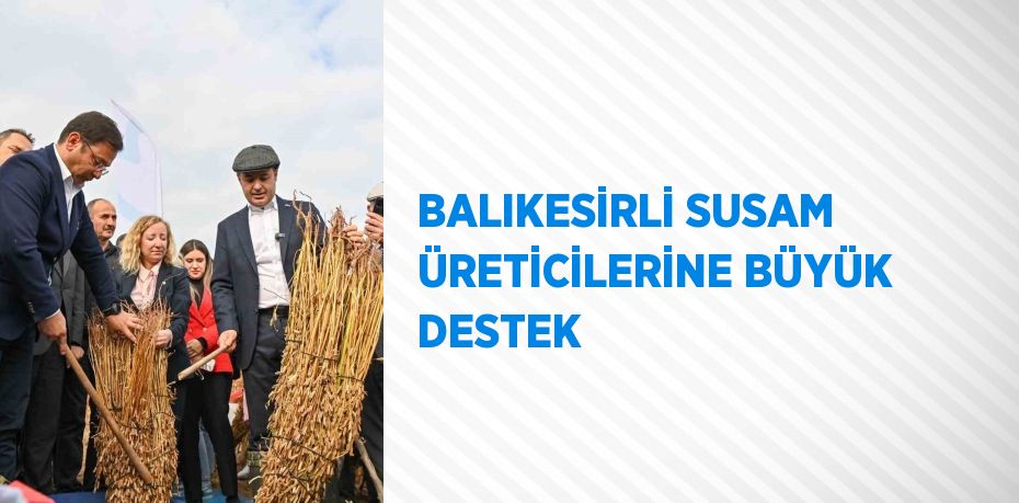 BALIKESİRLİ SUSAM ÜRETİCİLERİNE BÜYÜK DESTEK