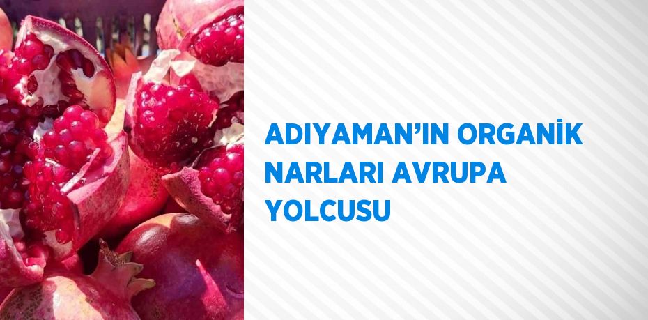 ADIYAMAN’IN ORGANİK NARLARI AVRUPA YOLCUSU