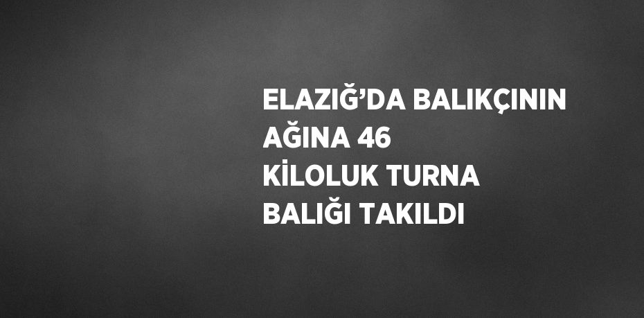 ELAZIĞ’DA BALIKÇININ AĞINA 46 KİLOLUK TURNA BALIĞI TAKILDI