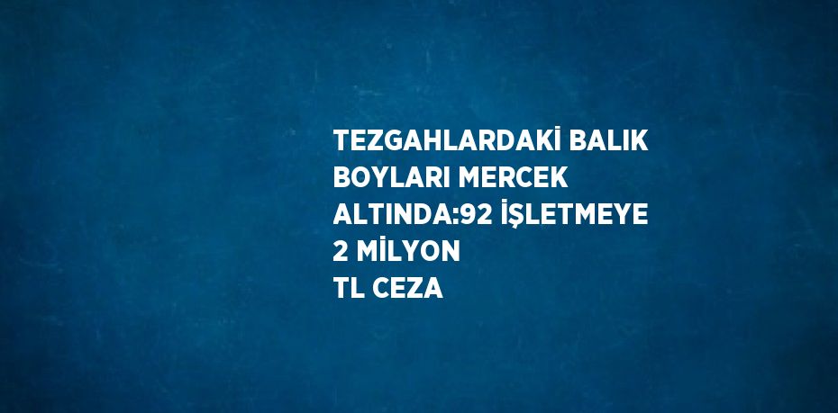 TEZGAHLARDAKİ BALIK BOYLARI MERCEK ALTINDA:92 İŞLETMEYE 2 MİLYON TL CEZA