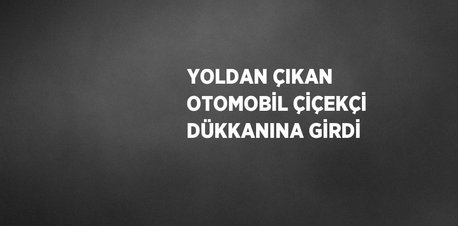 YOLDAN ÇIKAN OTOMOBİL ÇİÇEKÇİ DÜKKANINA GİRDİ