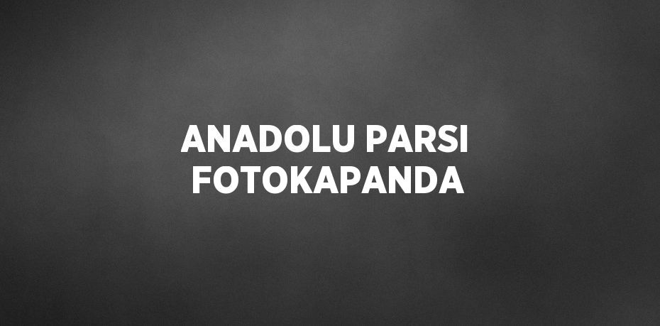 ANADOLU PARSI FOTOKAPANDA