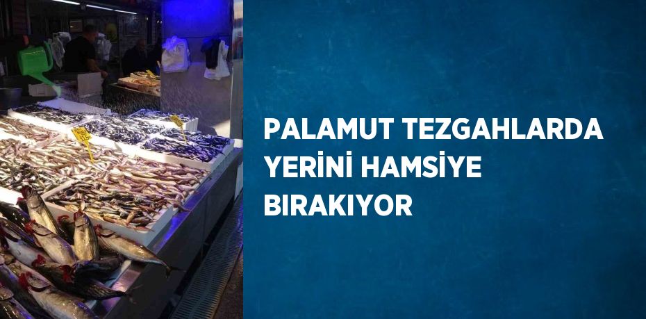 PALAMUT TEZGAHLARDA YERİNİ HAMSİYE BIRAKIYOR