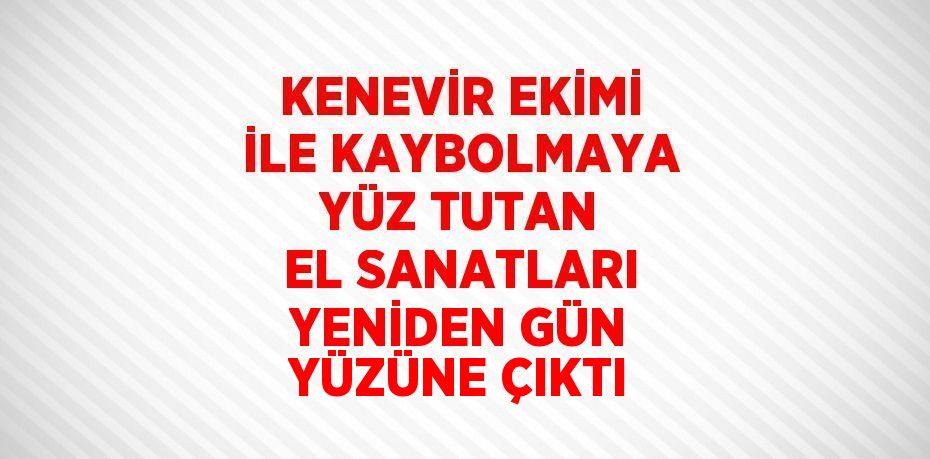 KENEVİR EKİMİ İLE KAYBOLMAYA YÜZ TUTAN EL SANATLARI YENİDEN GÜN YÜZÜNE ÇIKTI