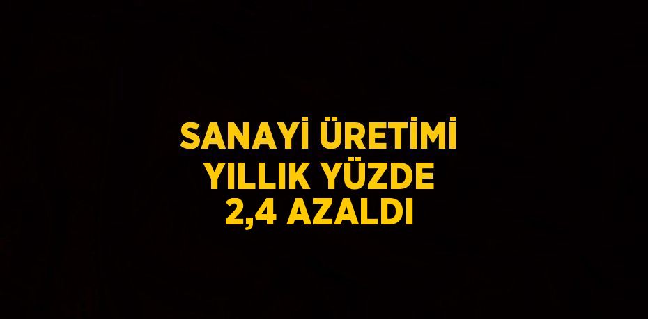 SANAYİ ÜRETİMİ YILLIK YÜZDE 2,4 AZALDI