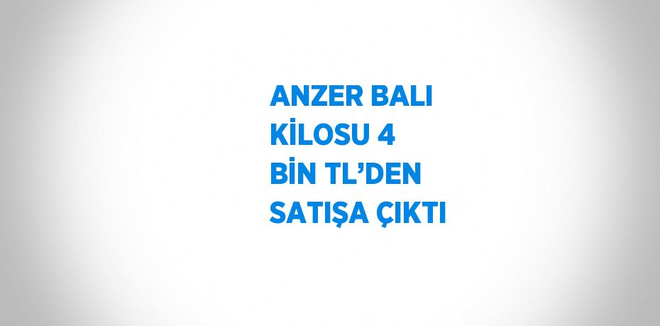 ANZER BALI KİLOSU 4 BİN TL’DEN SATIŞA ÇIKTI