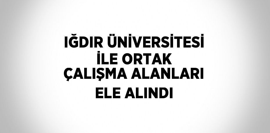 IĞDIR ÜNİVERSİTESİ İLE ORTAK ÇALIŞMA ALANLARI ELE ALINDI