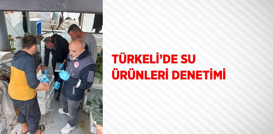 TÜRKELİ’DE SU ÜRÜNLERİ DENETİMİ