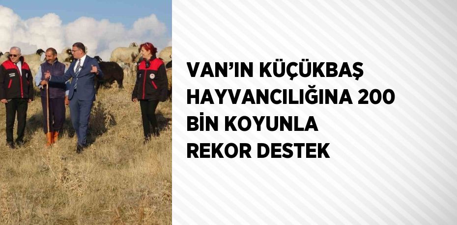 VAN’IN KÜÇÜKBAŞ HAYVANCILIĞINA 200 BİN KOYUNLA REKOR DESTEK