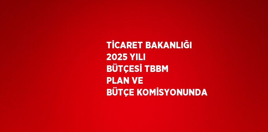 TİCARET BAKANLIĞI 2025 YILI BÜTÇESİ TBBM PLAN VE BÜTÇE KOMİSYONUNDA