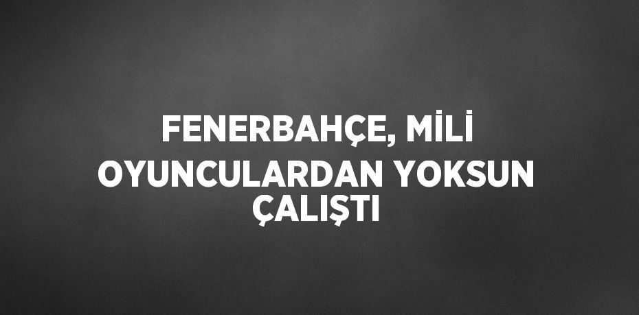 FENERBAHÇE, MİLİ OYUNCULARDAN YOKSUN ÇALIŞTI