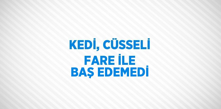 KEDİ, CÜSSELİ FARE İLE BAŞ EDEMEDİ