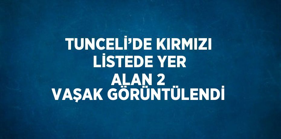 TUNCELİ’DE KIRMIZI LİSTEDE YER ALAN 2 VAŞAK GÖRÜNTÜLENDİ