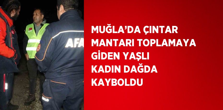 MUĞLA’DA ÇINTAR MANTARI TOPLAMAYA GİDEN YAŞLI KADIN DAĞDA KAYBOLDU