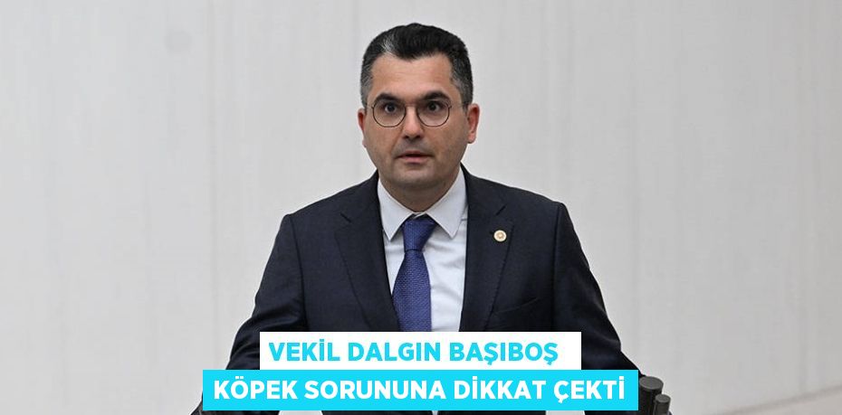 VEKİL DALGIN BAŞIBOŞ  KÖPEK SORUNUNA DİKKAT ÇEKTİ