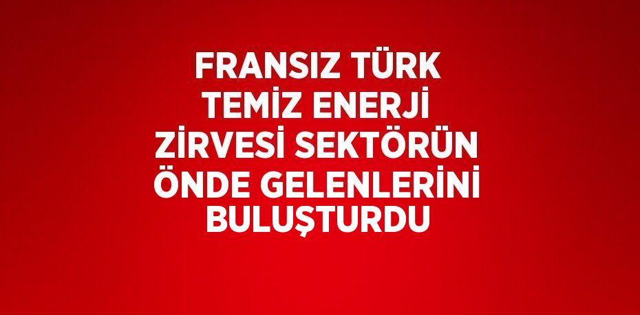 FRANSIZ TÜRK TEMİZ ENERJİ ZİRVESİ SEKTÖRÜN ÖNDE GELENLERİNİ BULUŞTURDU