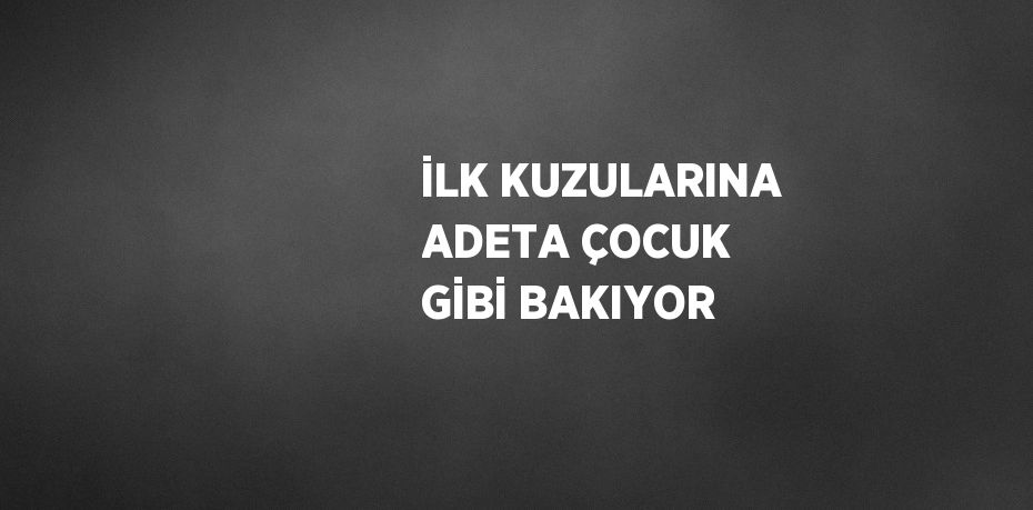 İLK KUZULARINA ADETA ÇOCUK GİBİ BAKIYOR