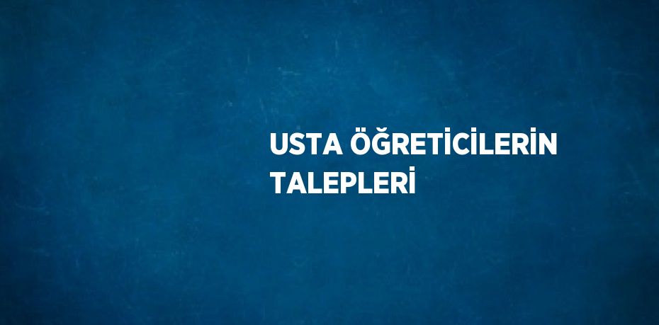 USTA ÖĞRETİCİLERİN TALEPLERİ