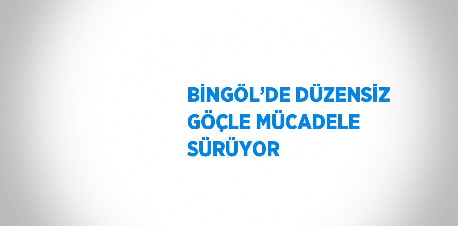 BİNGÖL’DE DÜZENSİZ GÖÇLE MÜCADELE SÜRÜYOR