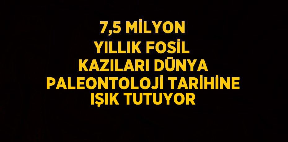 7,5 MİLYON YILLIK FOSİL KAZILARI DÜNYA PALEONTOLOJİ TARİHİNE IŞIK TUTUYOR