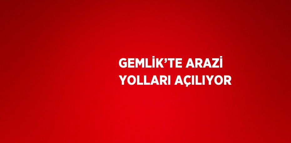 GEMLİK’TE ARAZİ YOLLARI AÇILIYOR