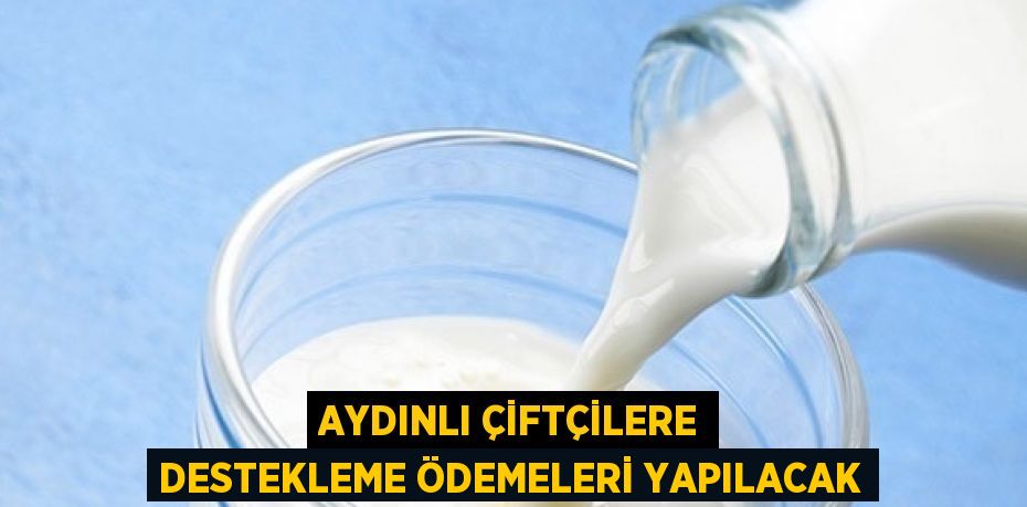 AYDINLI ÇİFTÇİLERE DESTEKLEME ÖDEMELERİ YAPILACAK